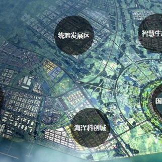 官方支持：2025精准免费资料大全解析——贸易便利化
